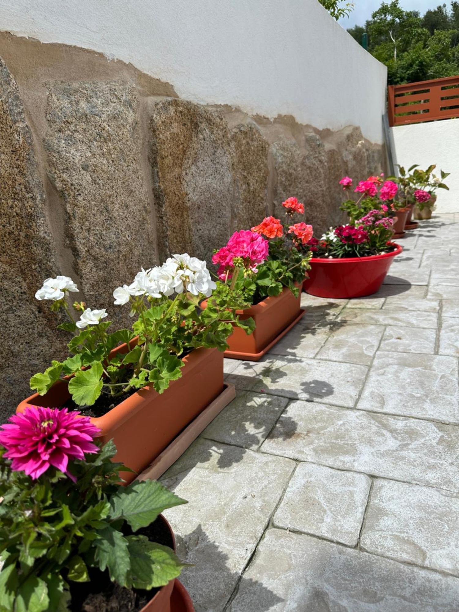 Casa La Oveja Negra, Con Piscina Padrenda Exterior foto